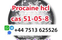 high purity cas 51-05-8 Procaine Hcl Procaine Hydrochloride global ship mediacongo